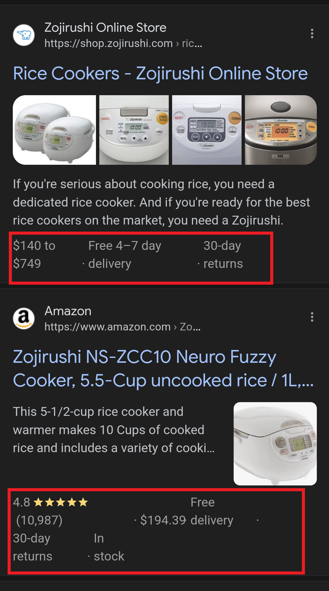 An image of a search result for Japanese rice cookers that shows rich results for Zojirushi and Amazon.