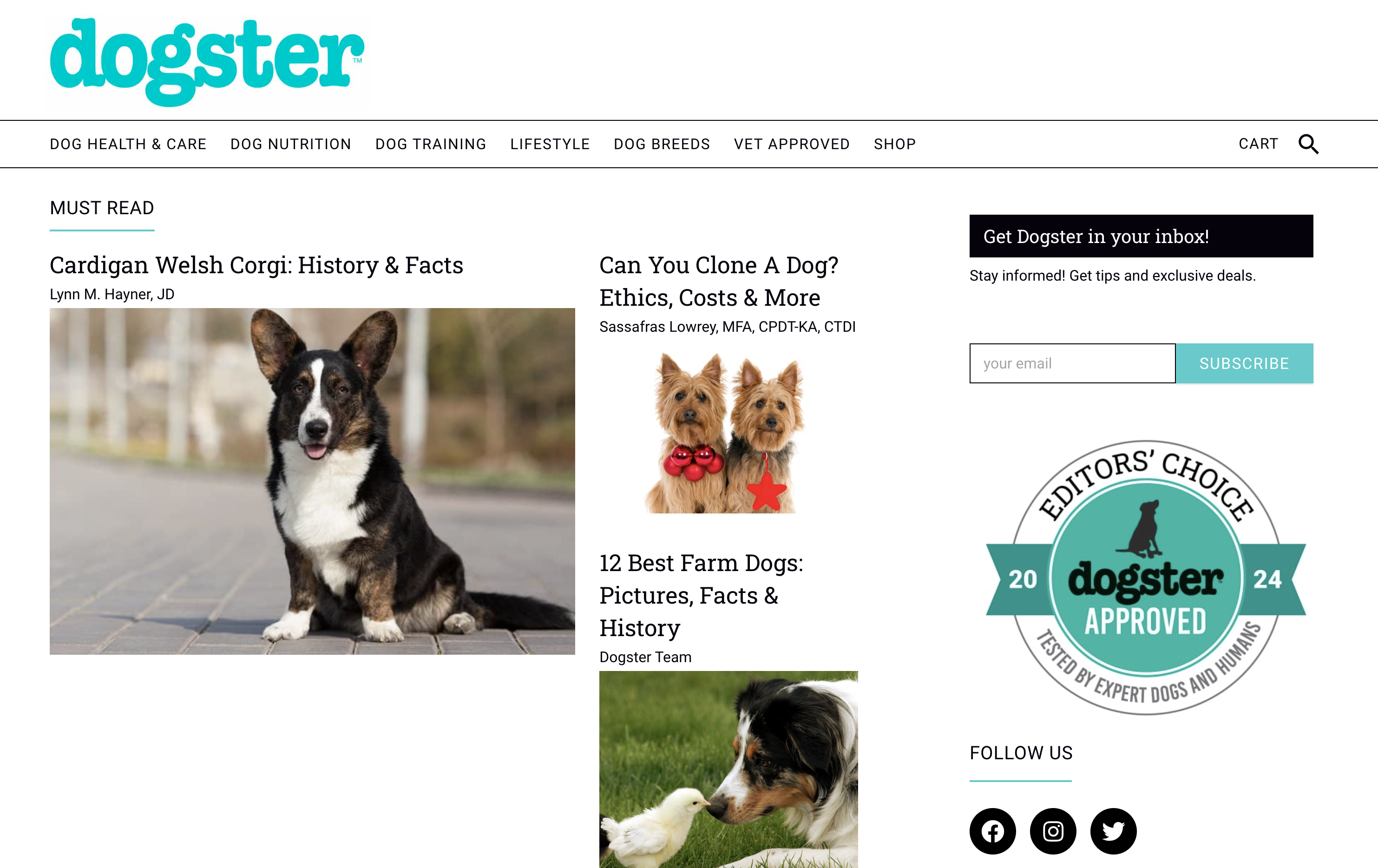 dogster homepage 633 - What Is It & How To Demonstrate It For SEO