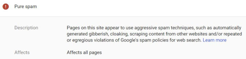pure spam - Google March 2024 Update: 6 Insights On Manual Actions