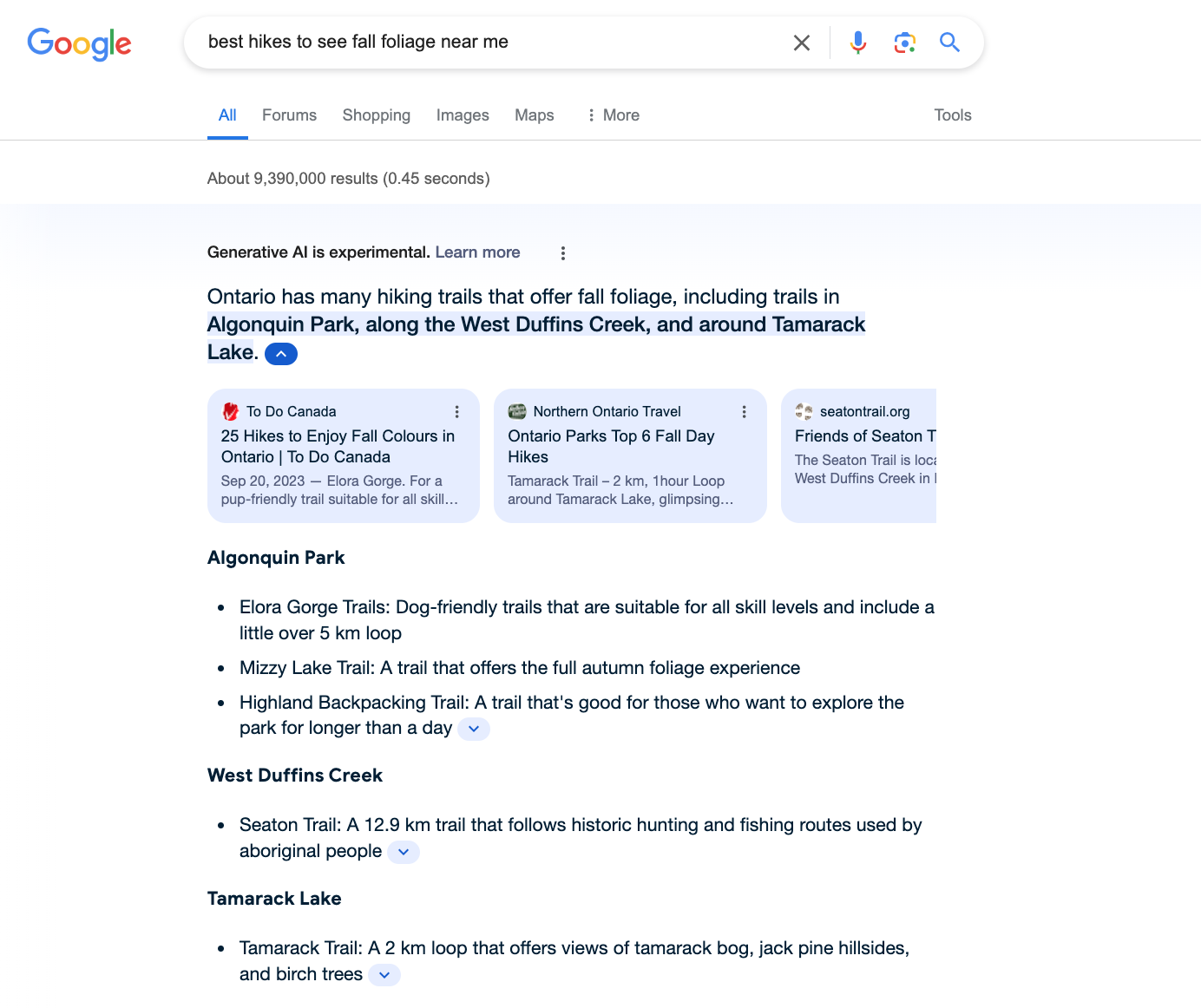 Google Search Generative Experience effect   screenshot