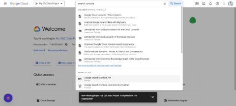 step 3 search console api 355 480x217 - Automate Multi-Site Reporting With Google Sheets And GSC API