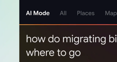 Google & Apple Maps: 20% of Local Searches Now Start Here
