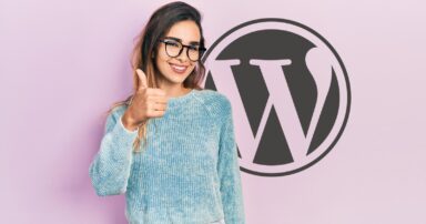 Kinsta WordPress Updater Prevents Failed Plugin Updates