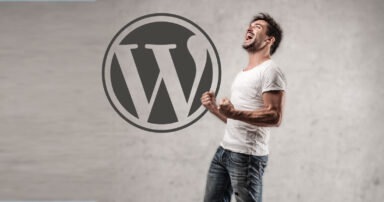 WordPress Jubilee Of Forgiveness Continues
