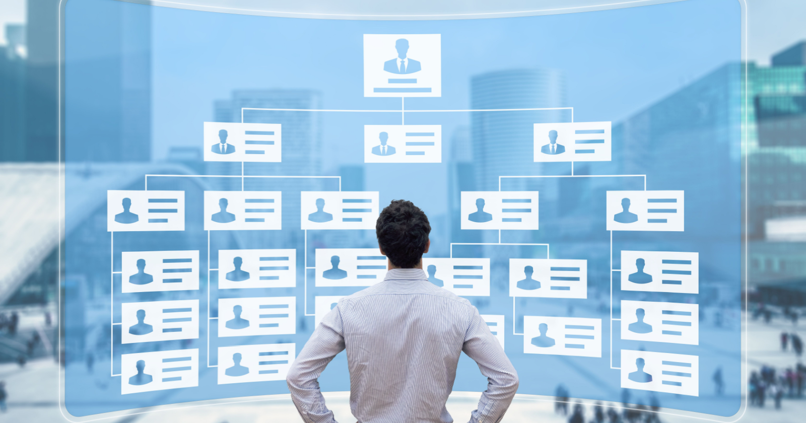 Effective SEO Organizational Structure For A Global Company